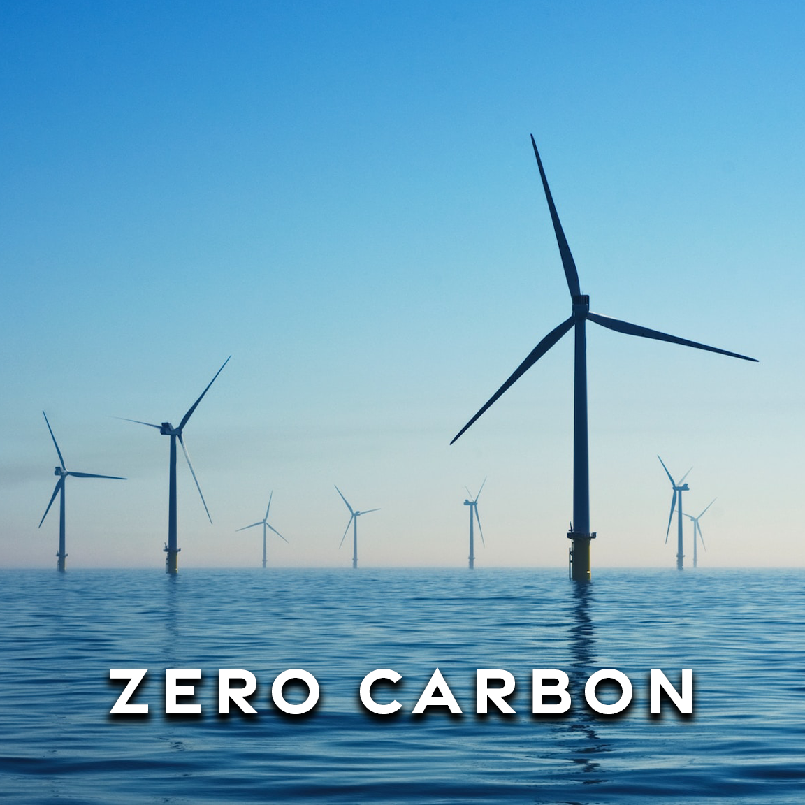 zero initiatives carbon