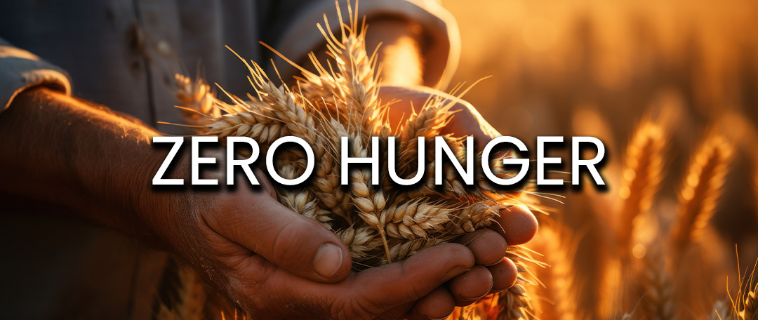 zero banner hunger