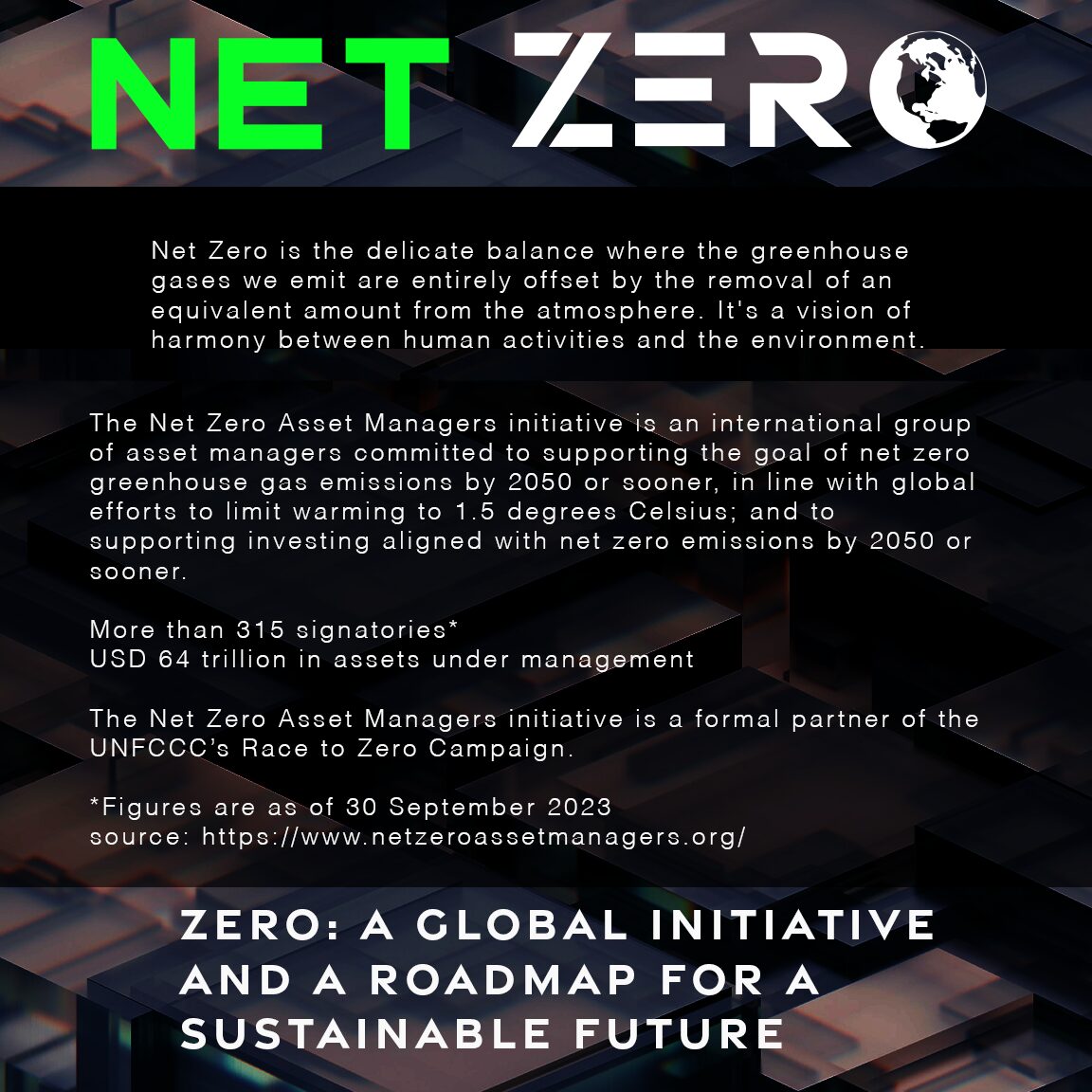 zero carbon initiative (2)